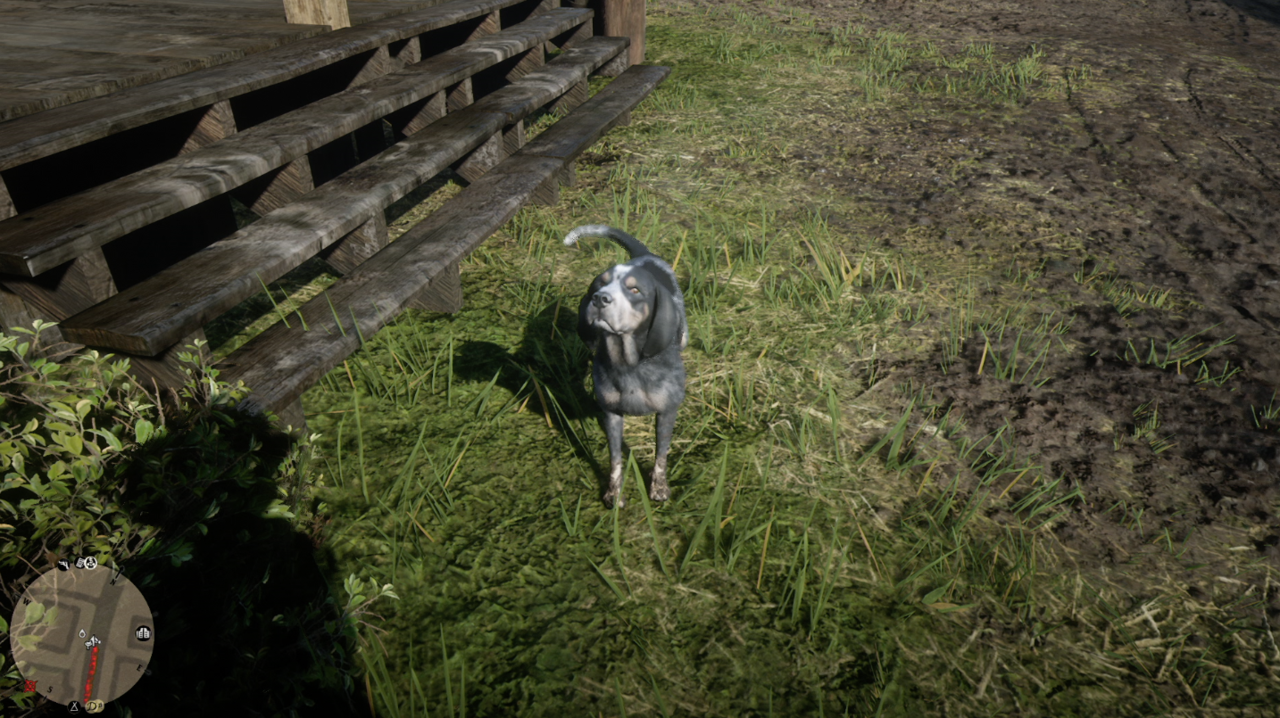 You Can Pet Dogs