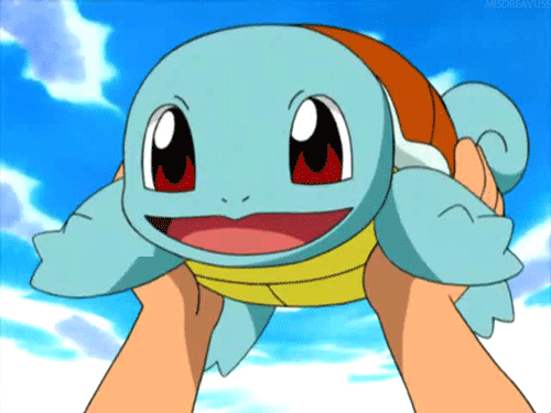 13. Squirtle