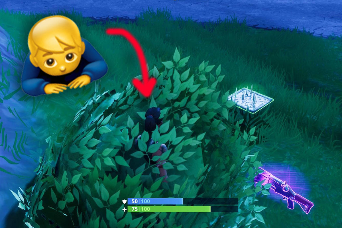 Use Bushes And Trees For Concealment