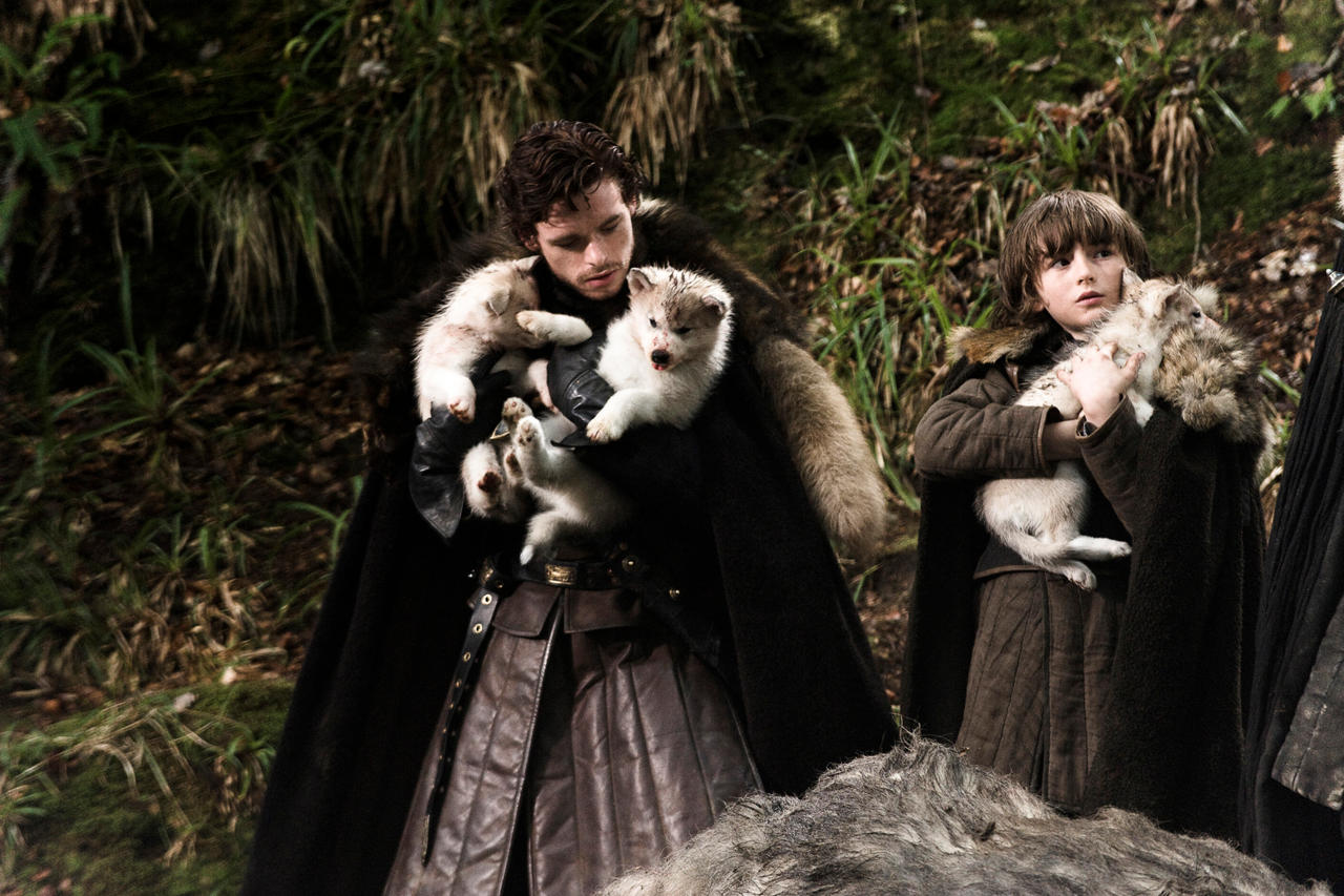 What was the name of Robb Stark's direwolf?