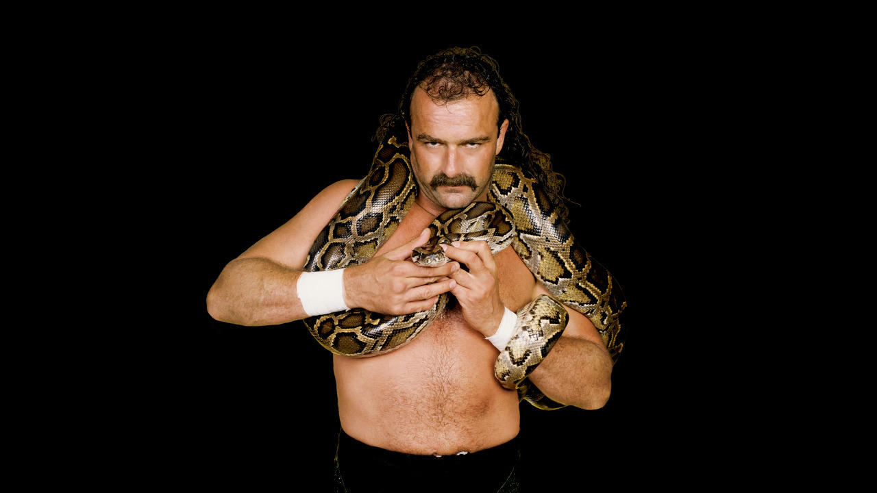 Jake "The Snake" Roberts (Legend)