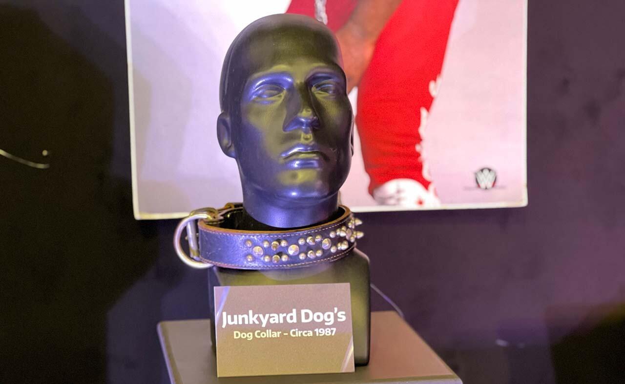 Junkyard Dog's collar