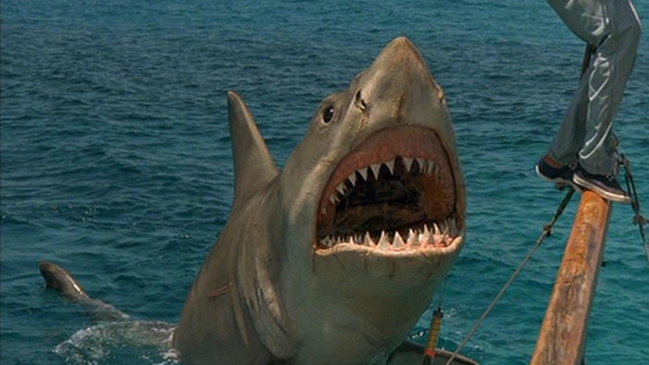 6. Jaws: The Revenge