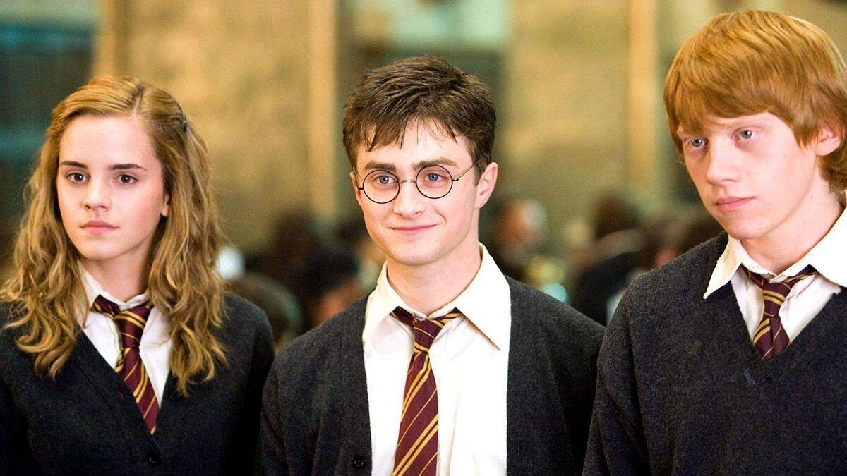 What is the Harry Potter TV show about?