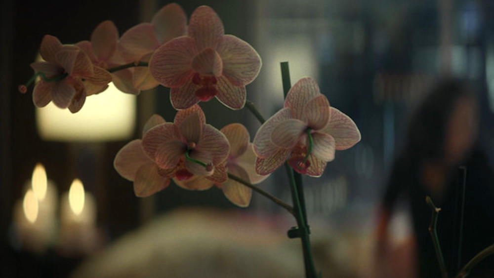 2. Synths Really Like Orchids