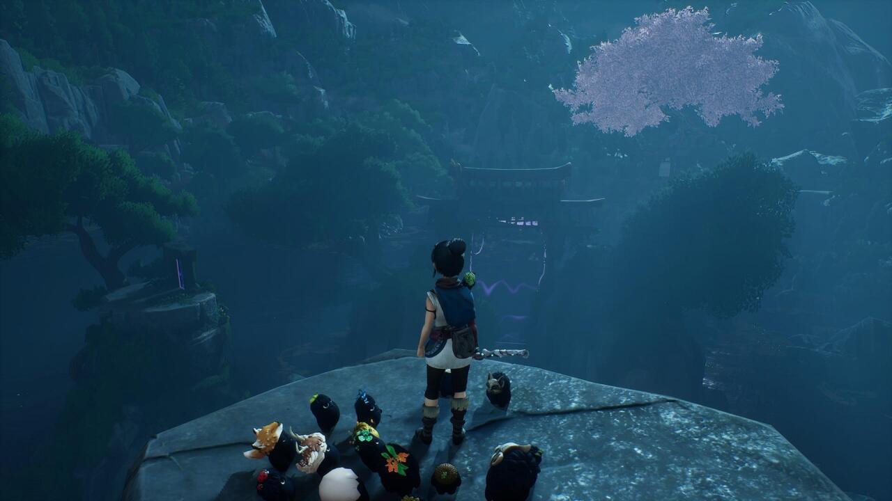 From this spot in front of the big gate on the Warrior's Path, look left to the cliff face to spot some rocks you can levitate with a bomb. They're set into the wall.