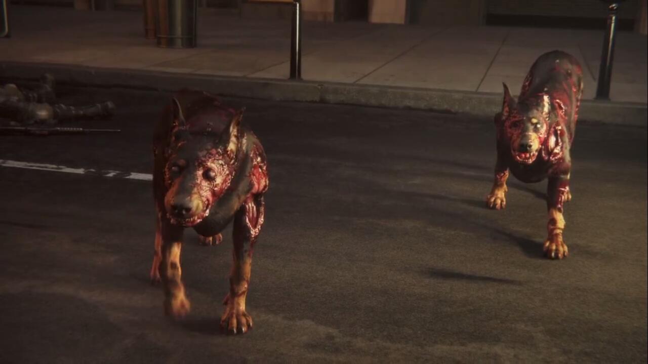 Is That Dog Named Cerberus?
