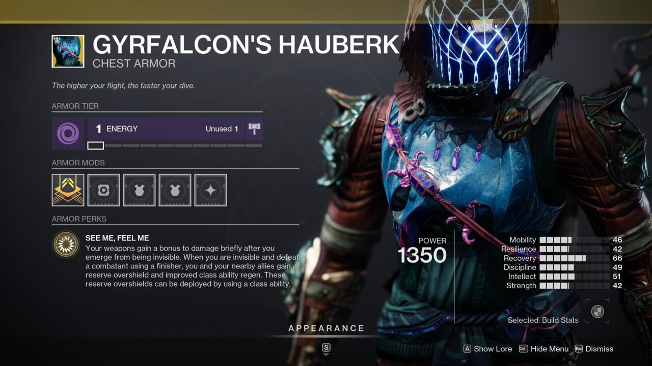 Gyrfalcon's Hauberk gives invisible Hunters and their teammates a few nice buffs.