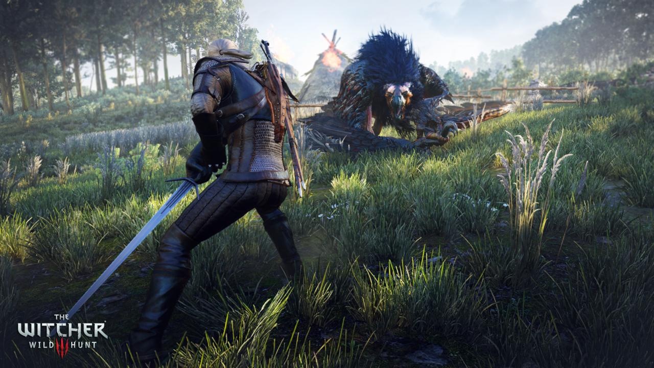 The Witcher 3: Wild Hunt Game of the Year Edition | $15