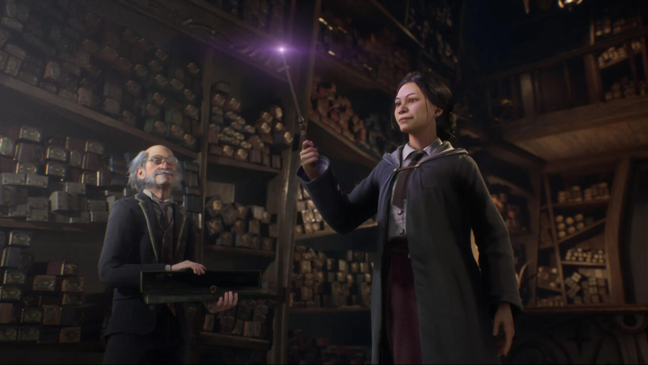 Hogwarts Legacy is a single-player only RPG.