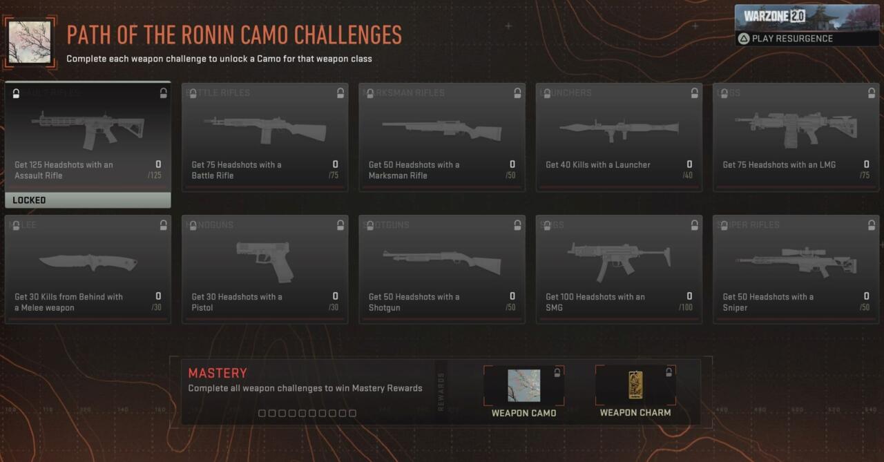 Path of the Ronin camo challenges