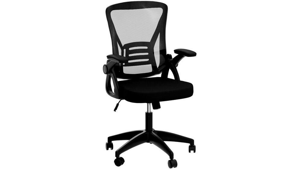 Naspaluro Ergonomic Office Chair