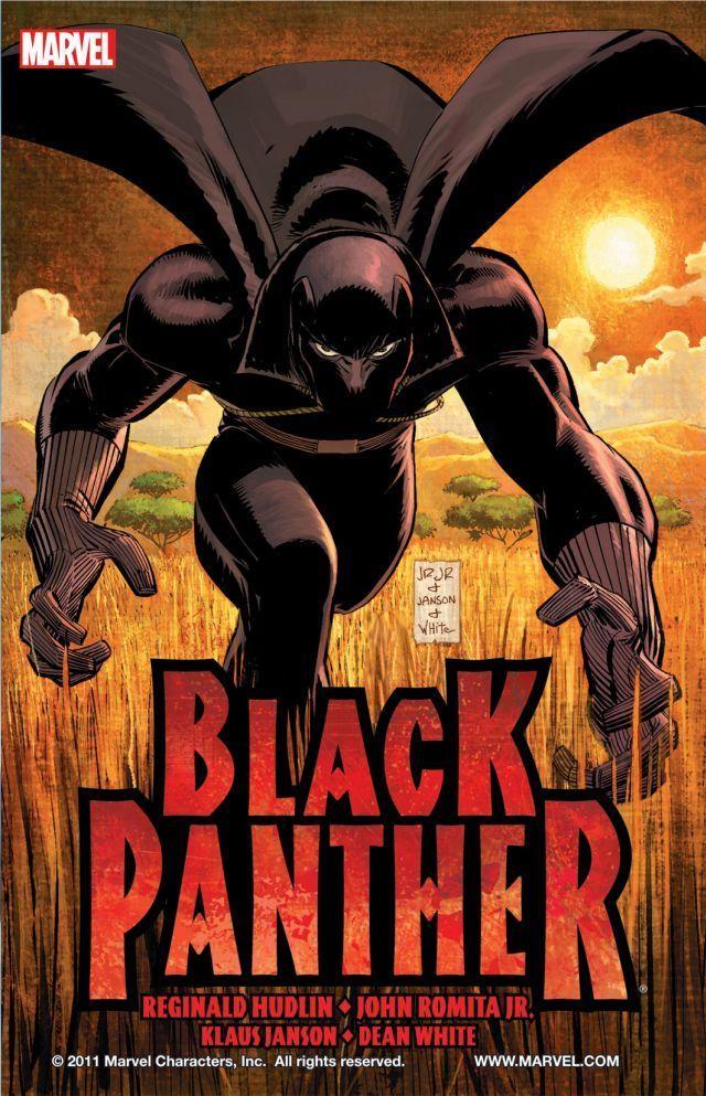 5. Who Is The Black Panther?