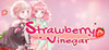 Strawberry Vinegar