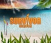 Survivor: Heroes