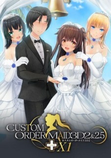 Custom Order Maid 3D2&2.5+ X1