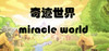 miracle world