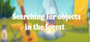 Searching for objects in the forest