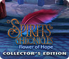 Spirits Chronicles: Flower of Hope