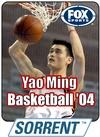 Yao Ming Basketball '04