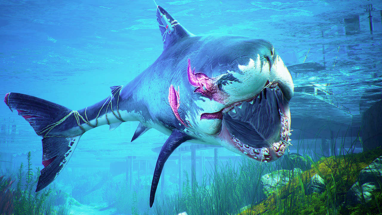Maneater Review - Fish Are Food, Not Friends - GameSpot