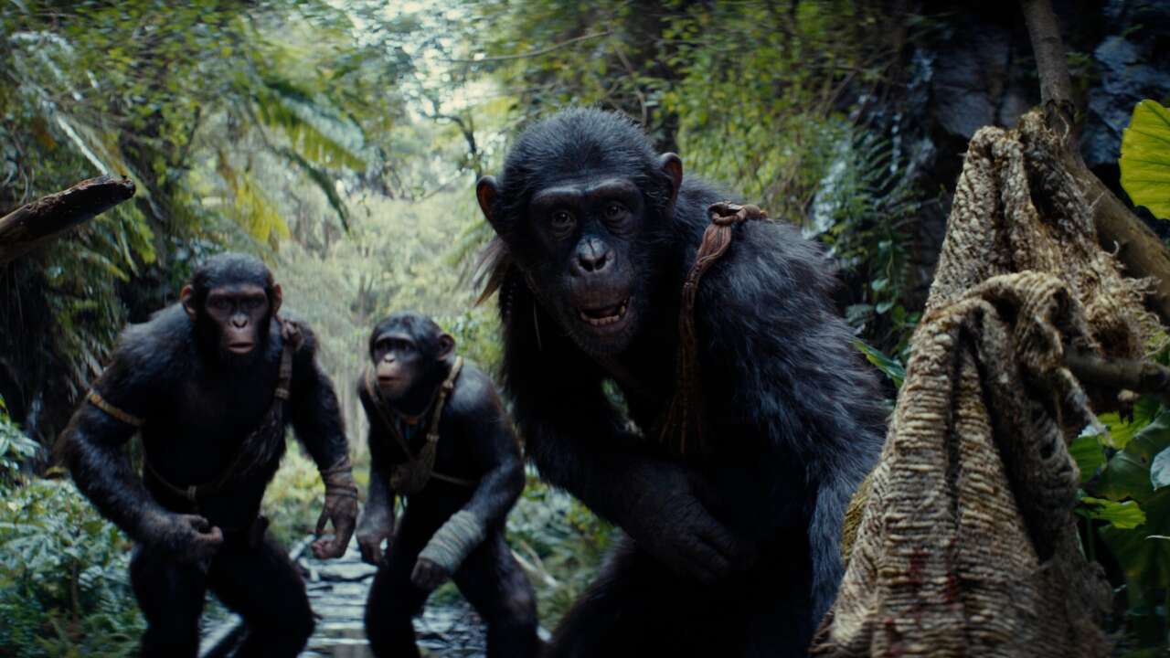 All 10 Planet Of The Apes Movies Ranked, Including Kingdom