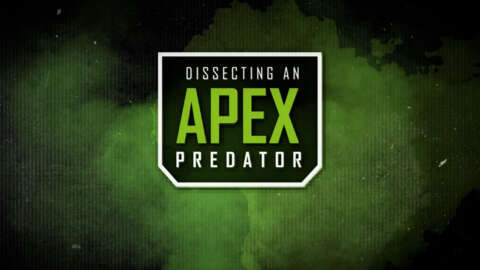 Dissecting An Apex Predator - Alliance Yuki