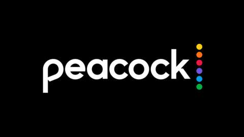 3763770 peacock logo new
