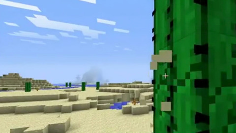 Video Review - Minecraft