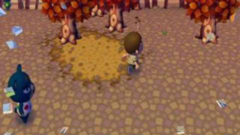 Exploit of the Moment - Animal Crossing: City Folk