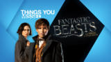 Things You Missed in the Fantastic Beasts and Where to Find Them Trailer