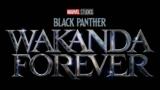 Marvel's Black Panther: Wakanda Forever To End Phase 4 Of The MCU