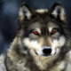 Avatar image for lone_wolf_lance