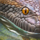 Avatar image for abdullahsaurus