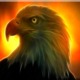Avatar image for thebloodeagle