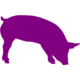 Avatar image for purplepigfarm