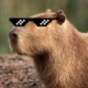 grizlzycapybara
