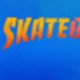 SkateBIRD box art