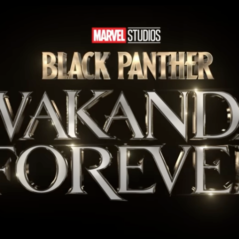 Black Panther: Wakanda Forever Has Biggest November Opening In US History