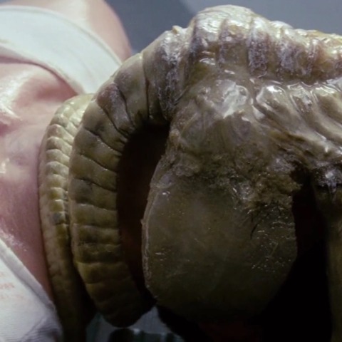 See The Terrifying Facehugger That Weta Workshop Made For Alien Romulus And Never Sleep Again