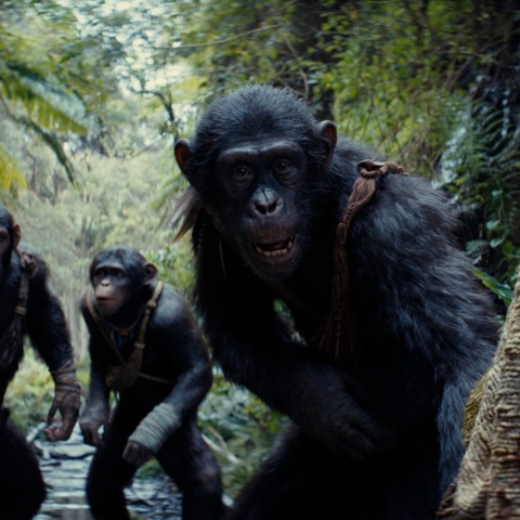 All 10 Planet Of The Apes Movies Ranked, Including Kingdom