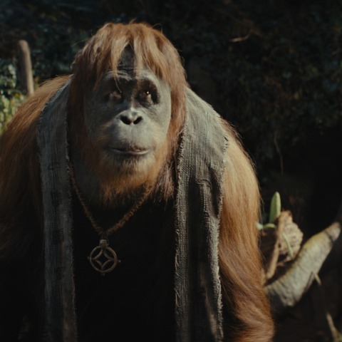 Kingdom Of The Planet Of The Apes Stars Say Those Mo-Cap Suits Were Actually "Liberating"