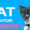 Cat Simulator: Meow
