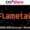 Flametail