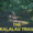 The Kalalau Trail