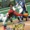 Magical Sports 2000 Koushien