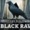 Mystery Solitaire. The Black Raven 5