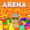 The Arena Guy