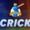 iB Cricket