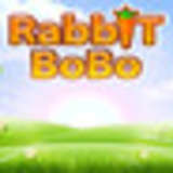 Rabbit BoBo